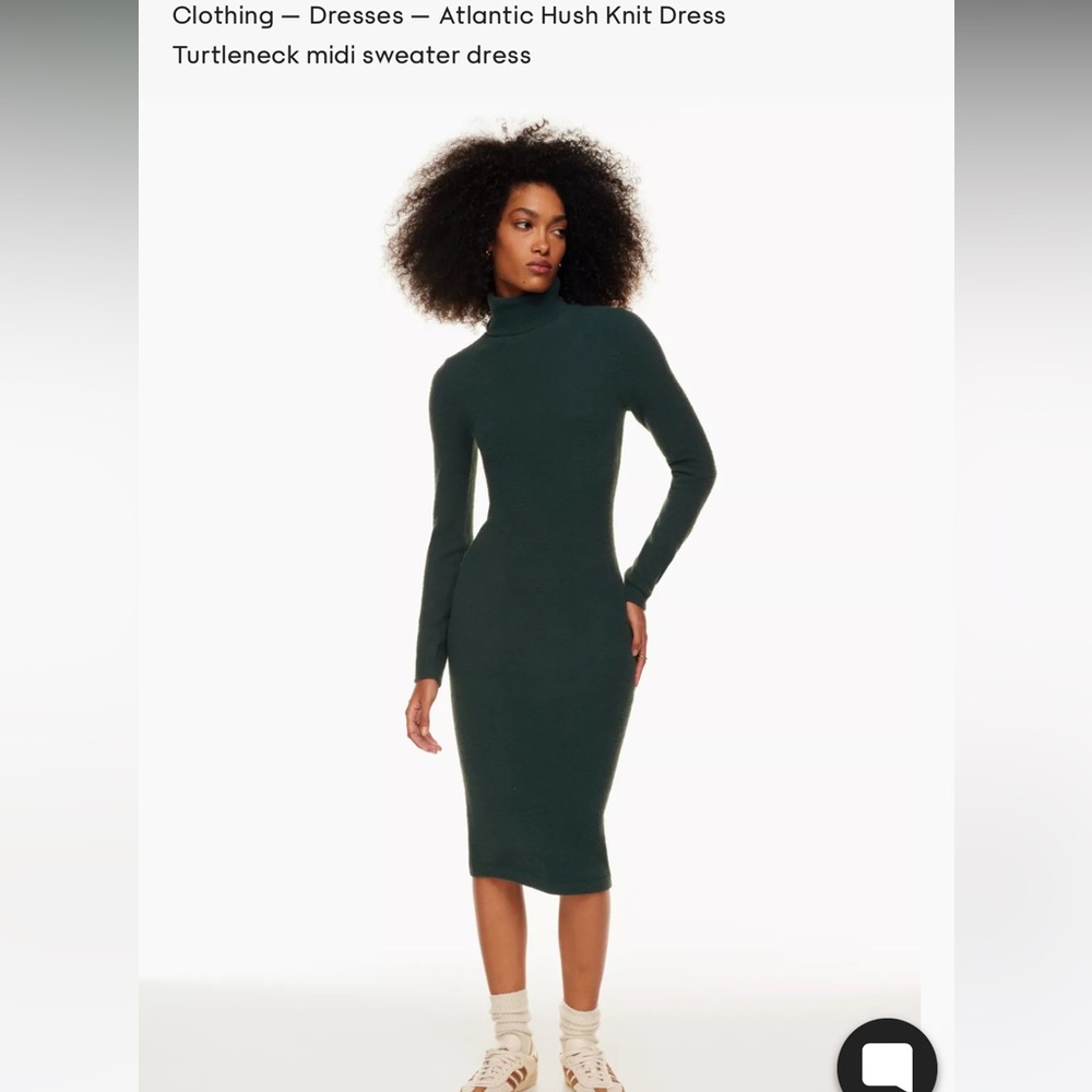 Aritzia Turtleneck Dress